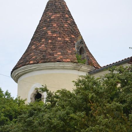 La Sauvetat-sur-Lède Chambres D'Hotes Du Chateau De Saint Sulpice المظهر الخارجي الصورة